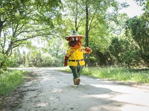 Bollo Bij Landal Greenparks