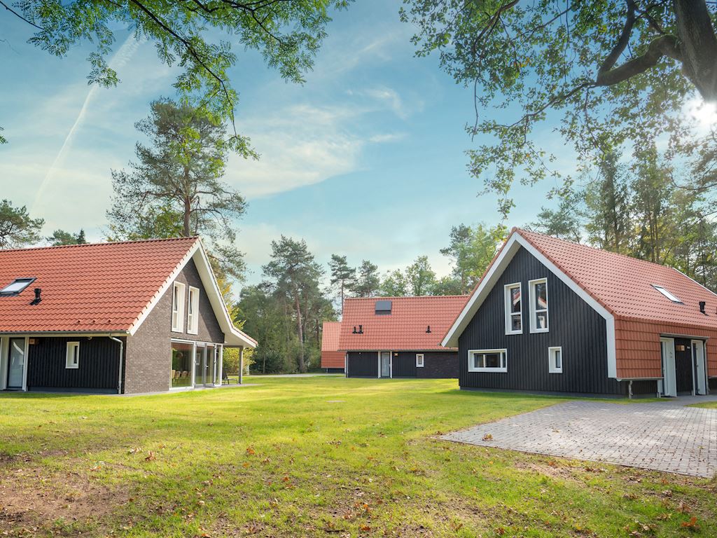 Landal Heideheuvel met hond