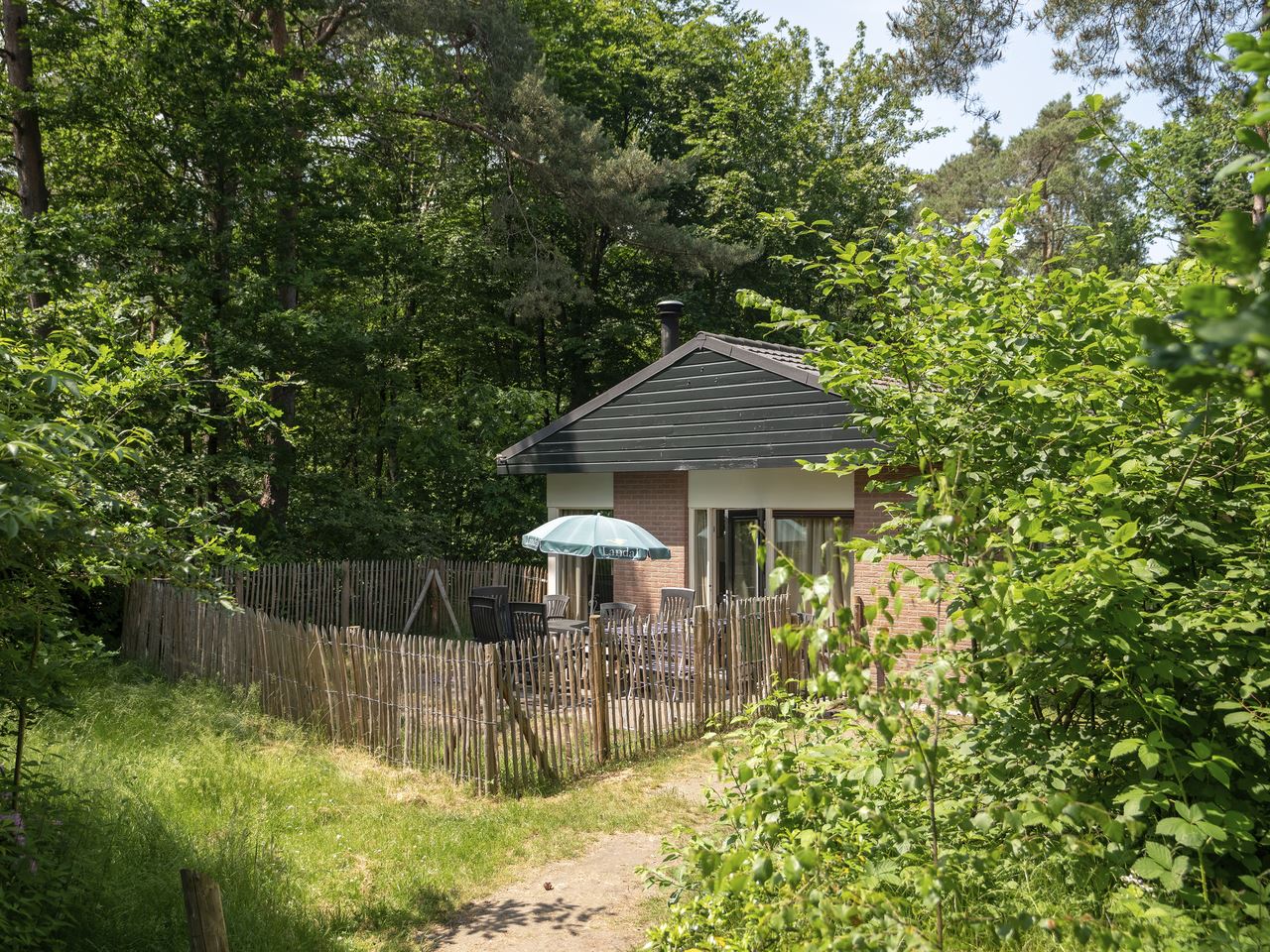 Hondenbugalow op de Veluwe