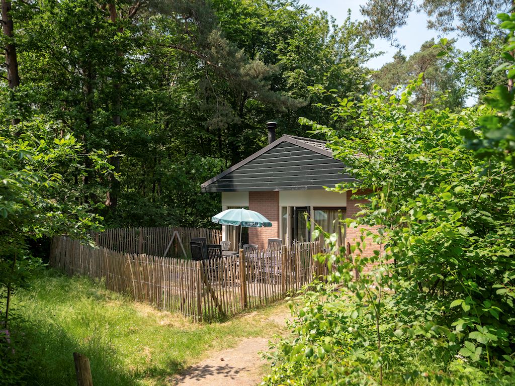 hondenbungalow Gelderland