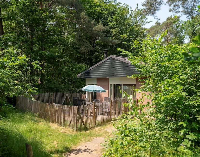 Hondenbugalow op de Veluwe