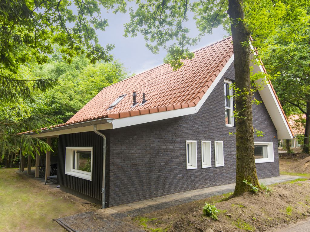 12-persoons bungalow - Luxe 12L op Landal Miggelenberg