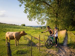 De mooiste fietsroutes vanaf uw Landal GreenParks vakantiepark in Limburg