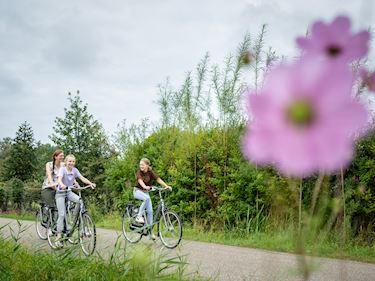 Op En Rond Het Park Landal De Reeuwijkse Plassen op-en-rond-het-park-landal-de-reeuwijkse-plassen