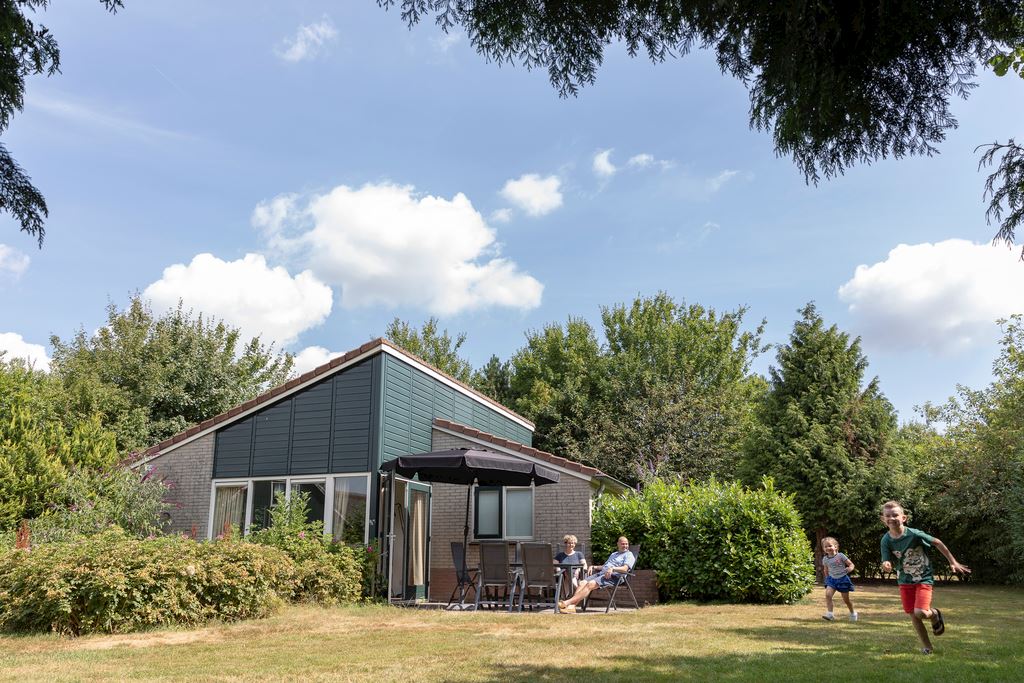 HSN_02_116396_4_3_116488_jpg